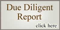 Due Diligent Report